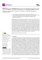 prikaz prve stranice dokumenta HPV16 Impacts NHERF2 Expression in Oropharyngeal Cancers