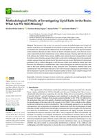 prikaz prve stranice dokumenta Methodological Pitfalls of Investigating Lipid Rafts in the Brain: What Are We Still Missing?