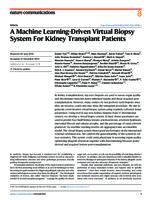 prikaz prve stranice dokumenta A Machine Learning-Driven Virtual Biopsy System For Kidney Transplant Patients