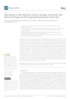 prikaz prve stranice dokumenta Specificities in the Structure of the Cartilage of Patients with Advanced Stages of Developmental Dysplasia of the Hip