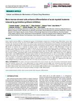 prikaz prve stranice dokumenta Bone marrow stromal cells enhance differentiation of acute myeloid leukemia induced by pyrimidine synthesis inhibitors