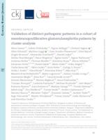 prikaz prve stranice dokumenta Validation of distinct pathogenic patterns in a cohort of membranoproliferative glomerulonephritis patients by cluster analysis