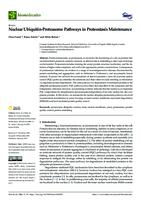 prikaz prve stranice dokumenta Nuclear Ubiquitin-Proteasome Pathways in Proteostasis Maintenance