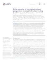 prikaz prve stranice dokumenta Heterogeneity of murine periosteum progenitors involved in fracture healing