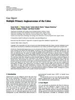 prikaz prve stranice dokumenta Multiple Primary Angiosarcomas of the Colon