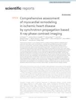 prikaz prve stranice dokumenta Comprehensive assessment of myocardial remodeling in ischemic heart disease by synchrotron propagation based X-ray phase contrast imaging