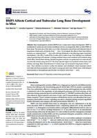 prikaz prve stranice dokumenta BMP3 Affects Cortical and Trabecular Long Bone Development in Mice