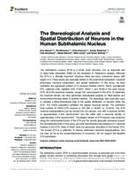 prikaz prve stranice dokumenta The Stereological Analysis and Spatial Distribution of Neurons in the Human Subthalamic Nucleus