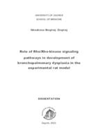 prikaz prve stranice dokumenta Role of Rho/Rho-kinase signaling pathways in development of bronchopulmonary dysplasia in the experimental rat model