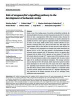 prikaz prve stranice dokumenta Role of uroguanylin's signalling pathway in the development of ischaemic stroke