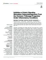 prikaz prve stranice dokumenta Inhibition of Notch Signaling Stimulates Osteoclastogenesis From the Common Trilineage Progenitor Under Inflammatory Conditions