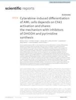 prikaz prve stranice dokumenta Cytarabine-induced differentiation of AML cells depends on Chk1 activation and shares the mechanism with inhibitors of DHODH and pyrimidine synthesis