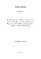 prikaz prve stranice dokumenta Kardiomiociti diferencirani iz ljudskih pluripotentnih stanica kao eksperimentalni model za prekondicioniranje potaknuto anesteticima 