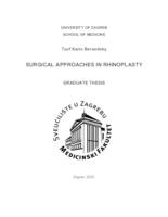 prikaz prve stranice dokumenta Surgical approaches in rhinoplasty