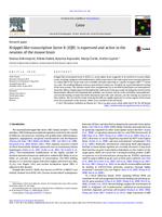 prikaz prve stranice dokumenta Krüppel-like transcription factor 8 (Klf8) is expressed and active in the neurons of the mouse brain