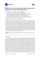 prikaz prve stranice dokumenta Molecular genetics of intracranial meningiomas with emphasis on canonical Wnt signalling