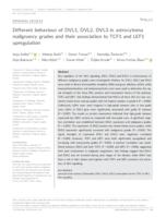 prikaz prve stranice dokumenta Different behaviour of DVL1, DVL2, DVL3 in astrocytoma malignancy grades and their association to TCF1 and LEF1 upregulation