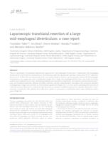 prikaz prve stranice dokumenta Laparoscopic transhiatal resection of a large mid-esophageal diverticulum: a case report