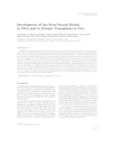 prikaz prve stranice dokumenta Development of the fetal neural retina in vitro and in ectopic transplants in vivo