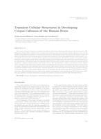 prikaz prve stranice dokumenta Transient cellular structures in developing corpus callosum of the human brain