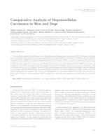 prikaz prve stranice dokumenta Comparative analysis of hepatocellular carcinoma in men and dogs 